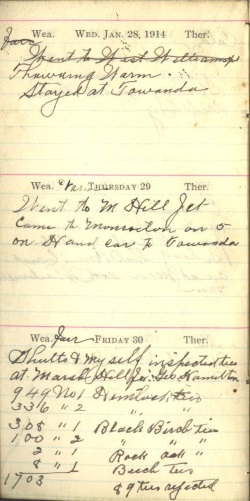 1914-01-28